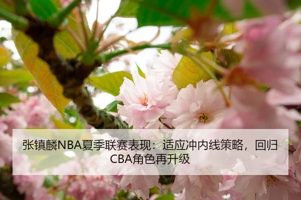 张镇麟NBA夏季联赛表现：适应冲内线策略，回归CBA角色再升级