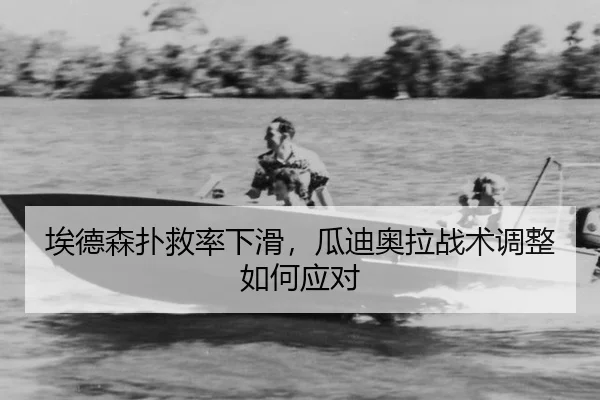 ai-de-sen-pu-jiu-lv-xia-hua-gua-di-ao-la-zhan-shu-tiao-zheng-ru-he-ying-dui-3-771.jpg