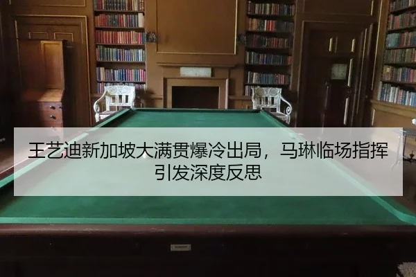 wang-yi-di-xin-jia-po-da-man-guan-bao-leng-chu-ju-ma-lin-lin-chang-zhi-hui-yin-fa-shen-du-fan-si-2-477.jpg