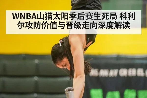 WNBA山猫太阳季后赛生死局 科利尔攻防价值与晋级走向深度解读